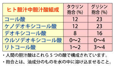 胆汁酸の組成