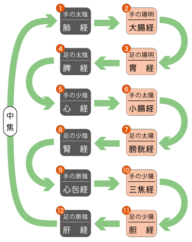 経穴経絡の流注について