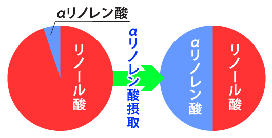 オメガ３　αリノレン酸の必要性〜健康ライフ