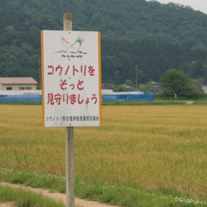 大徳醤油のこうのとりを育む農園